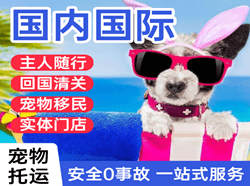 滨海航空快运国际宠物托运 【国